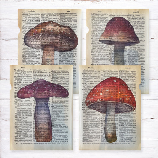 Recycled Vintage Dictionary Page Art Print - Mushroom Set