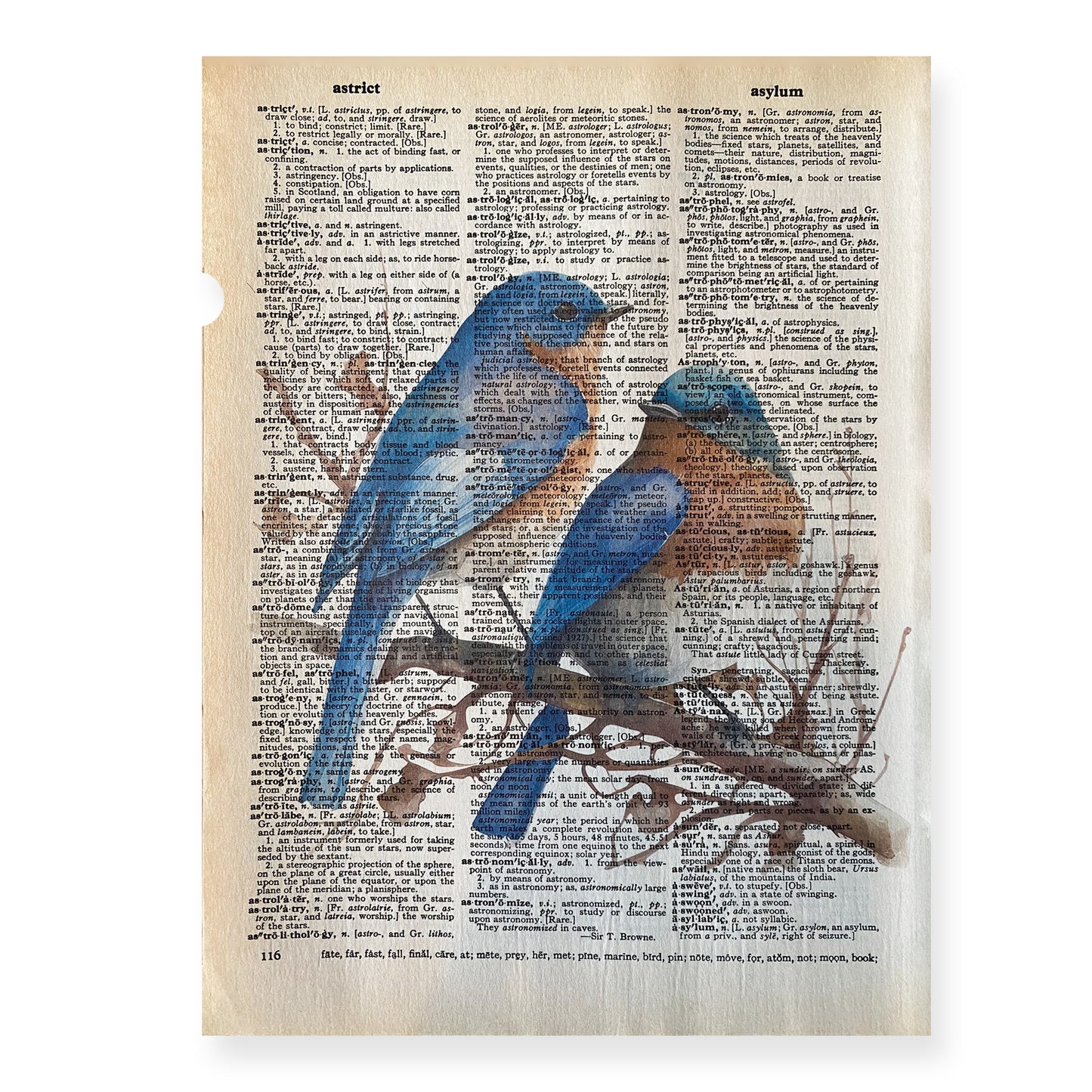 Recycled Vintage Dictionary Page Art Print - Blue Birds