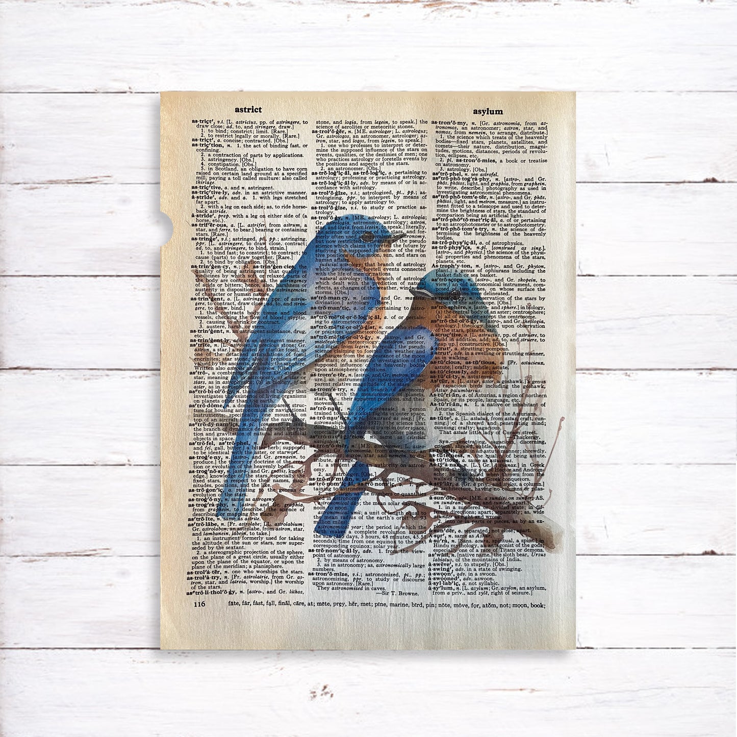 Recycled Vintage Dictionary Page Art Print - Blue Birds