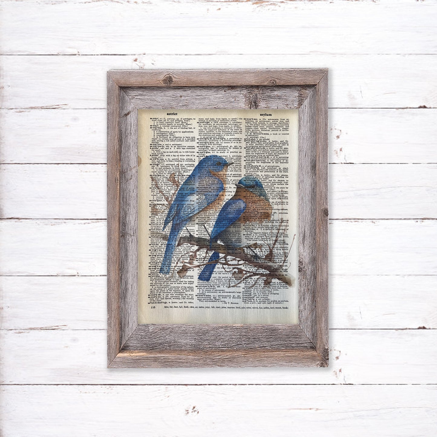 Recycled Vintage Dictionary Page Art Print - Blue Birds