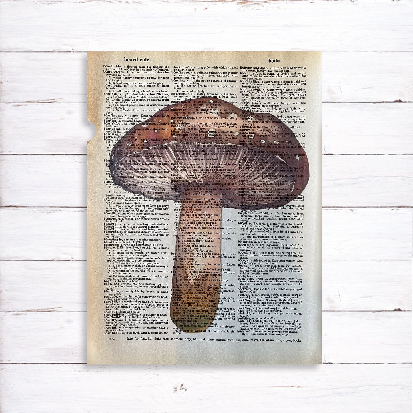 Recycled Vintage Dictionary Page Art Print - Mushroom Set