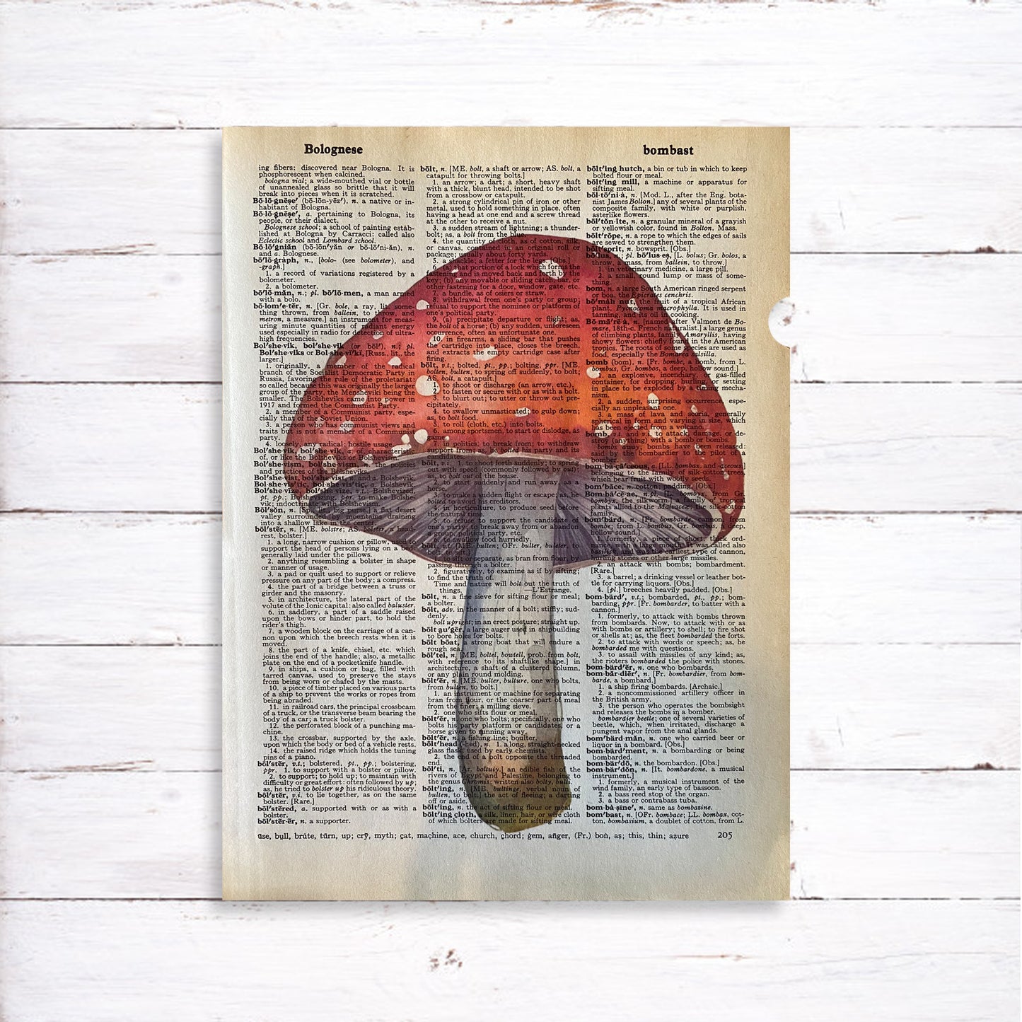 Recycled Vintage Dictionary Page Art Print - Mushroom Set