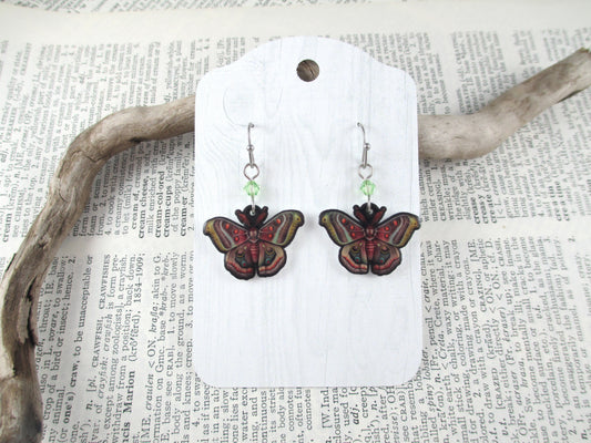 Moth Earrings