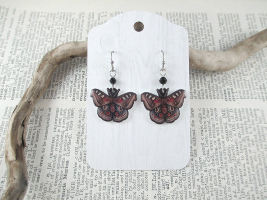 Moth Earrings